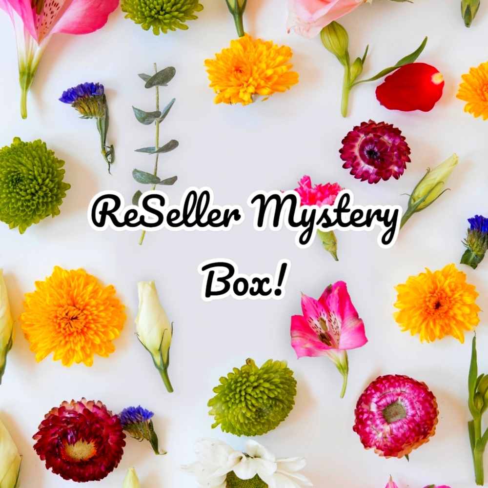 Resellers Mystery Box